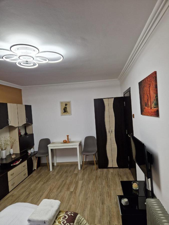 Garsoniera Apartment Baile Herculane Luaran gambar